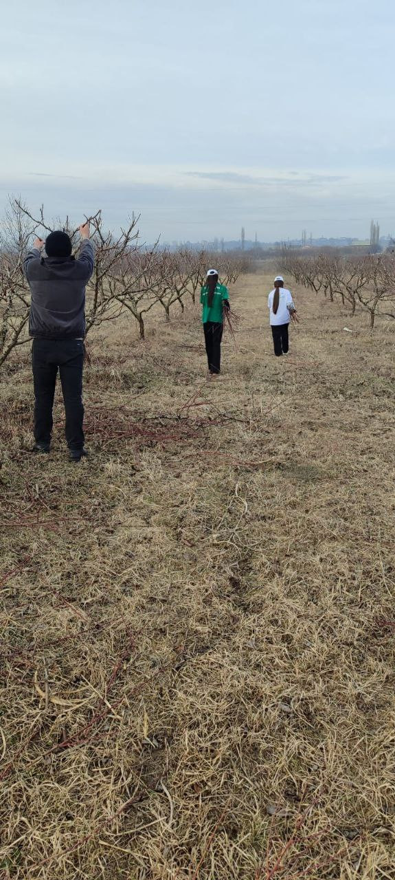 ПАТРОНАЖ ПОДОПЕЧНЫХ